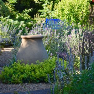 Denmans garden pot and blue bench