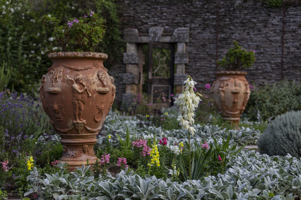 Two urns and silver-leaved planting