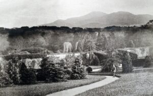 Black and white photograph of Castlewellan gardens with a man standing on a path overlooked by mountains