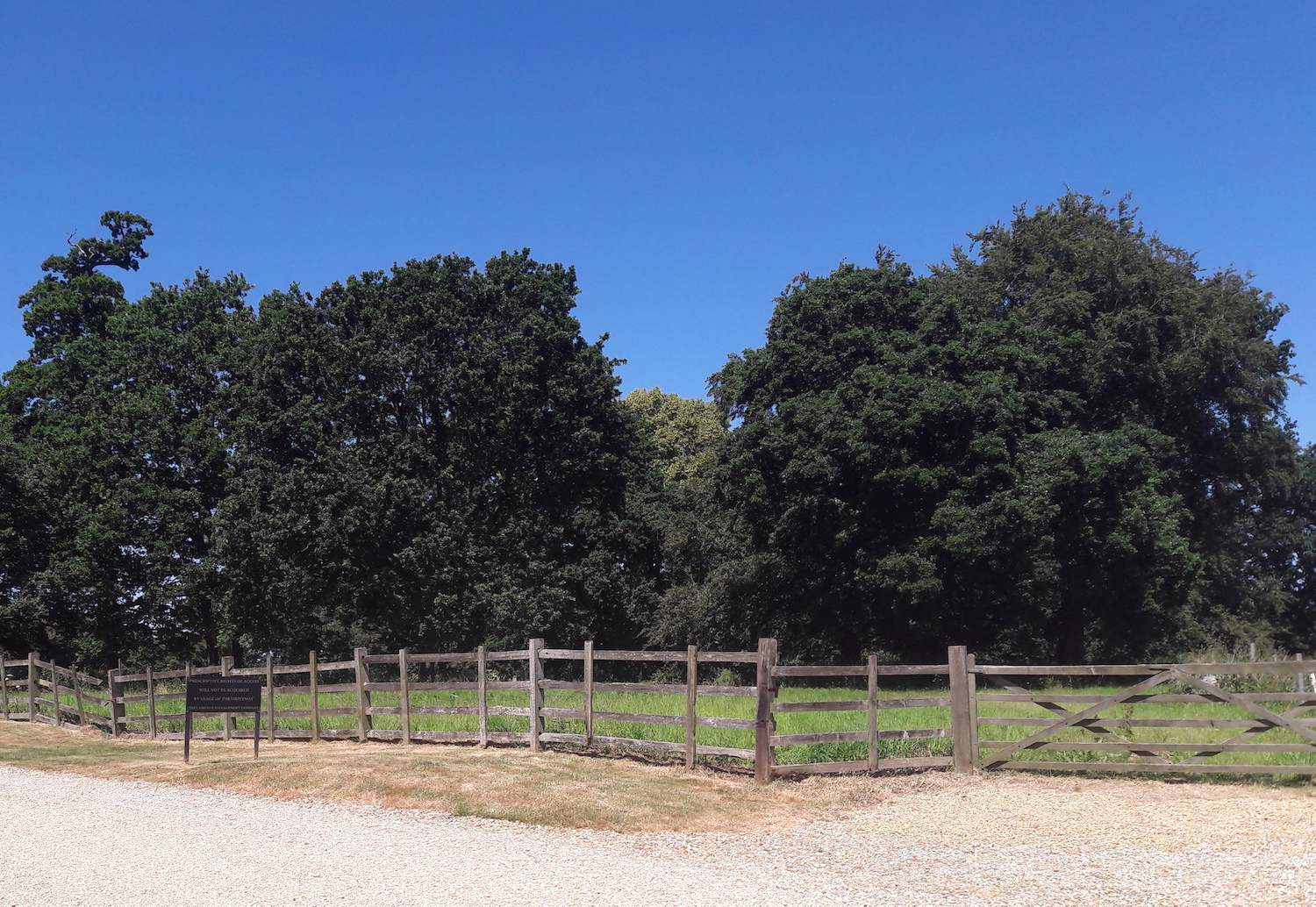 Langton Hall paddock in the parkland