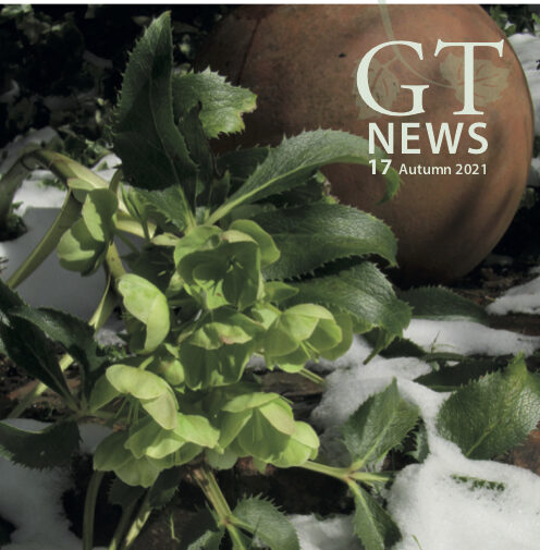 Front cover of the Autumn 2021 edition of GT News, displaying a small green plant in the snow