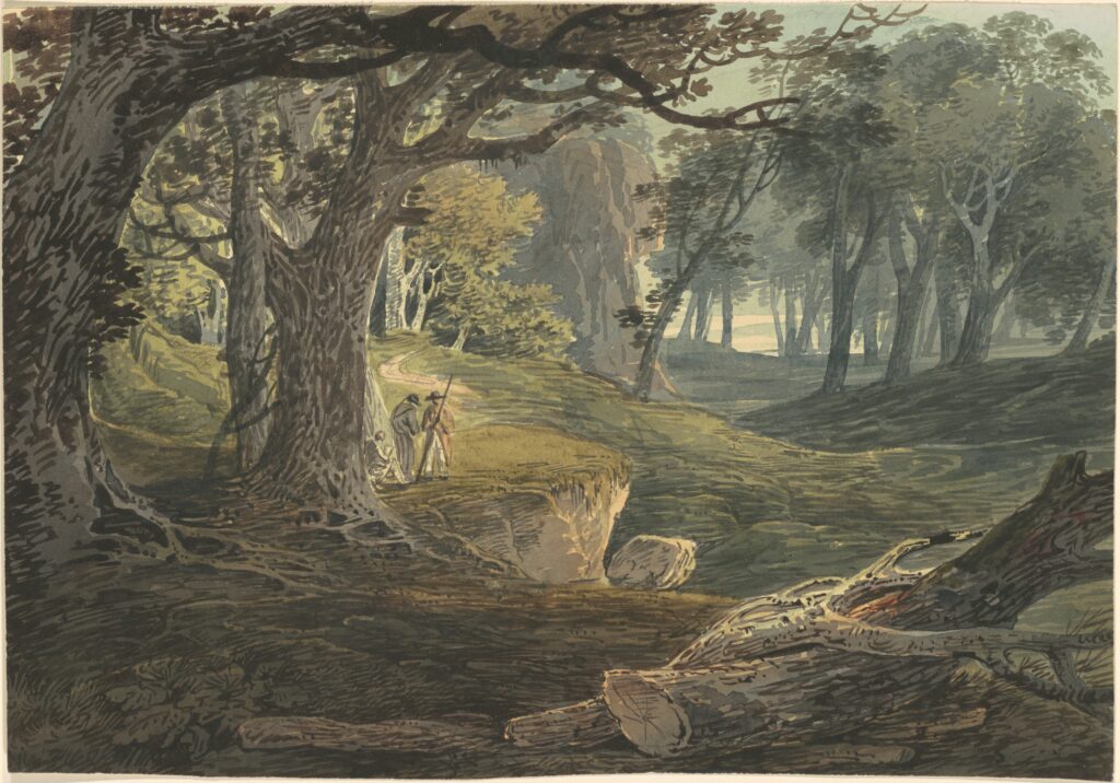 Painting of a forest by William Payne to illustrate World Forestry Day