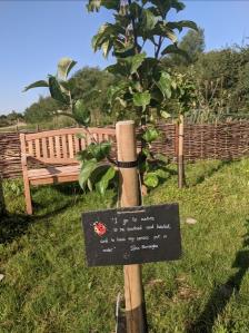 Wellbeing Orchard, Stanwick Lakes
