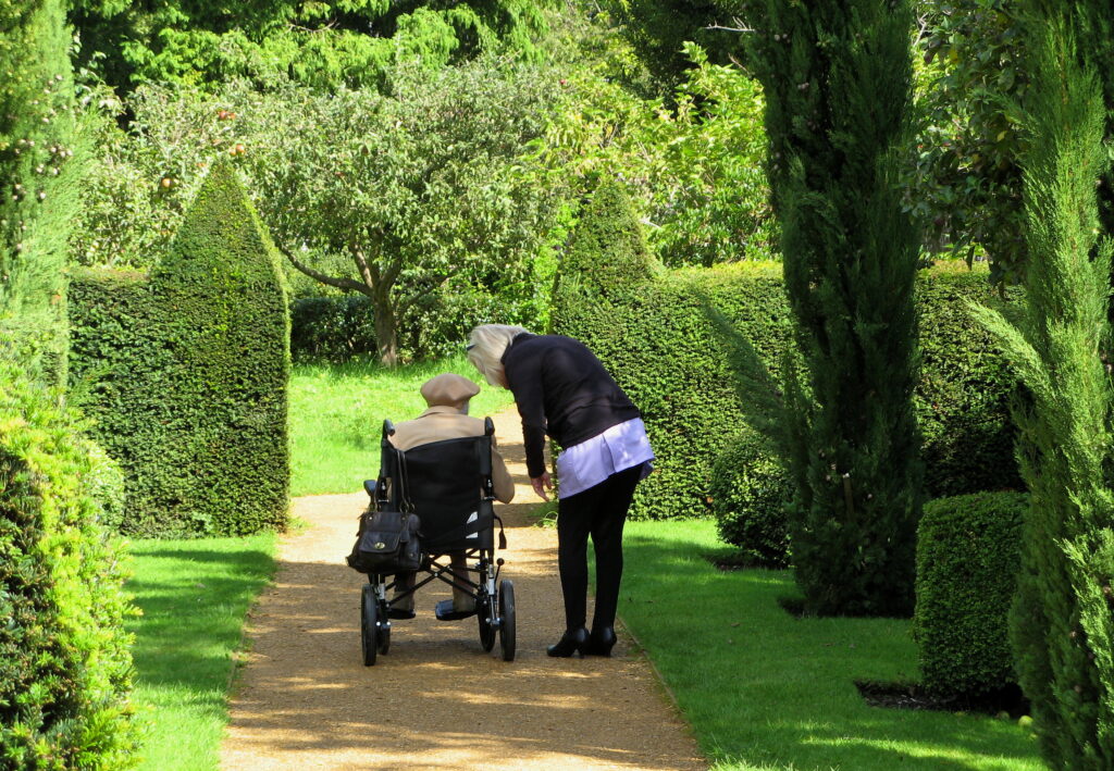 Visitor in a wheelchair with companion among topiary hedges