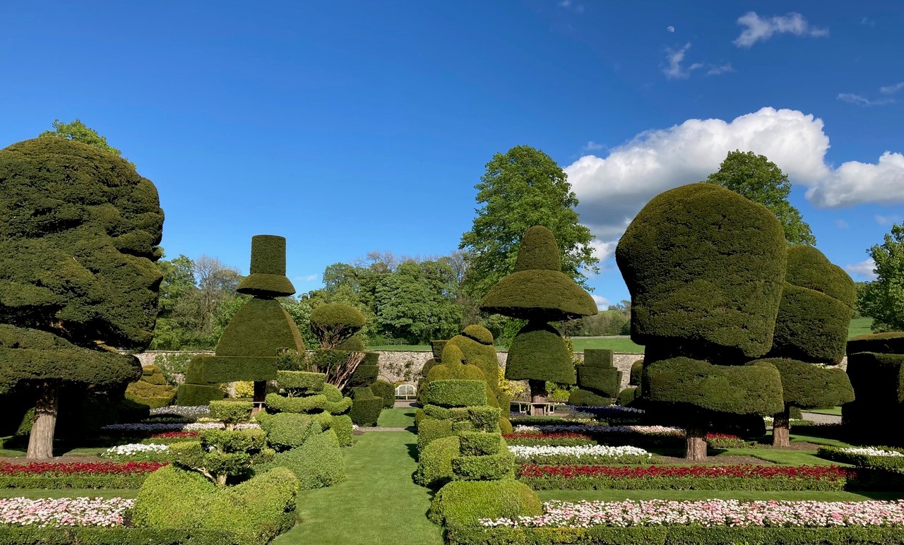 Levens Hall Gardens Topiary