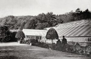 Black and white photograph of a man standing on a lawn in front of a large glasshouse