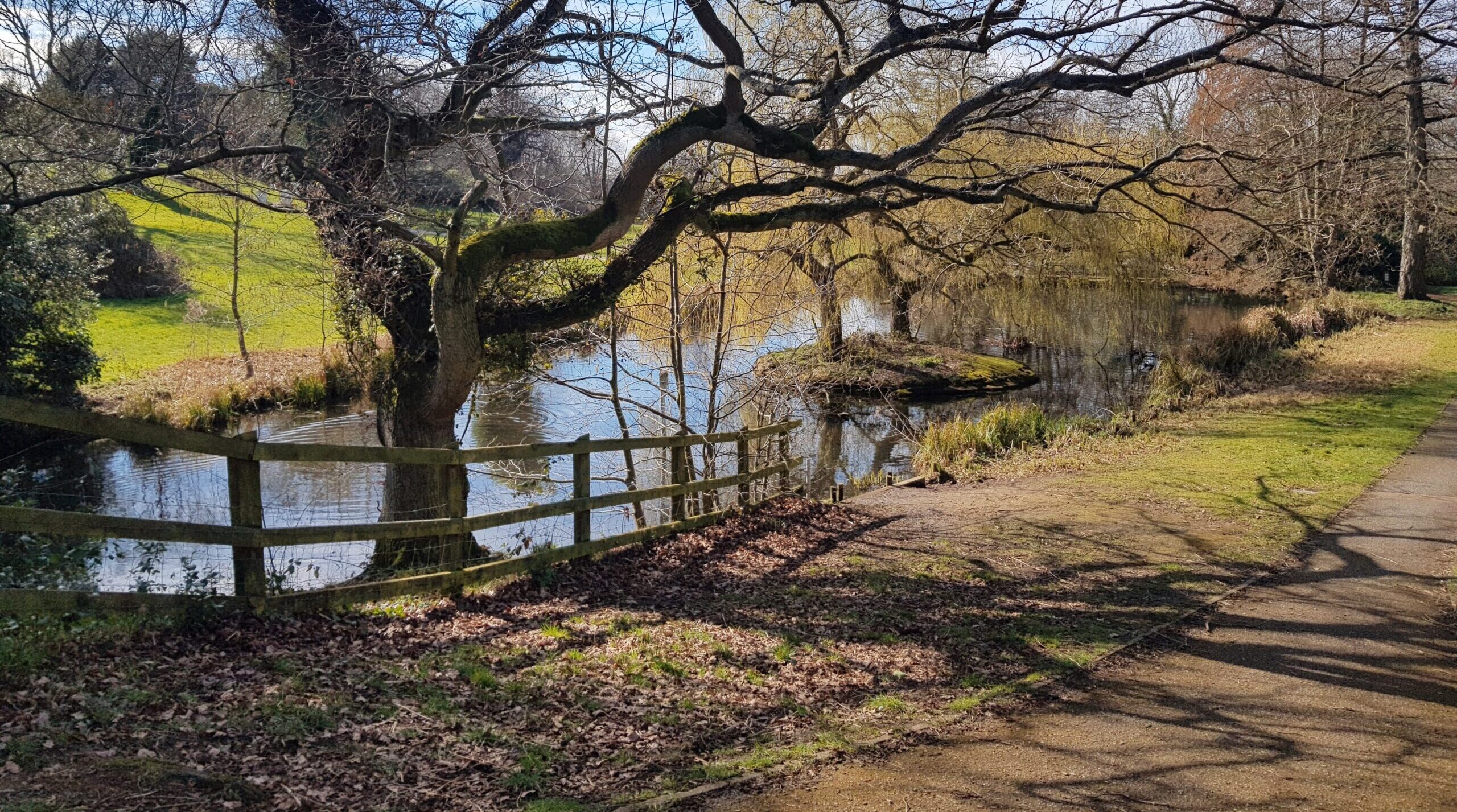 Spring view of sunlight through a tree beside a stream and path in Holywells Park, Suffolk