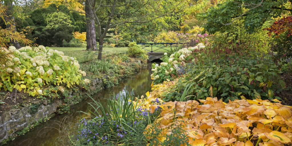 Image courtesy of Andrea Jones via the Garden Museum