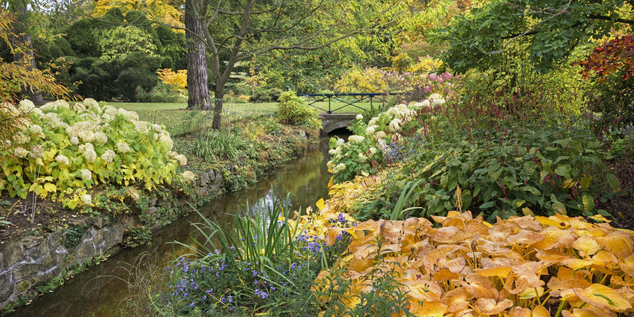 Image courtesy of Andrea Jones via the Garden Museum